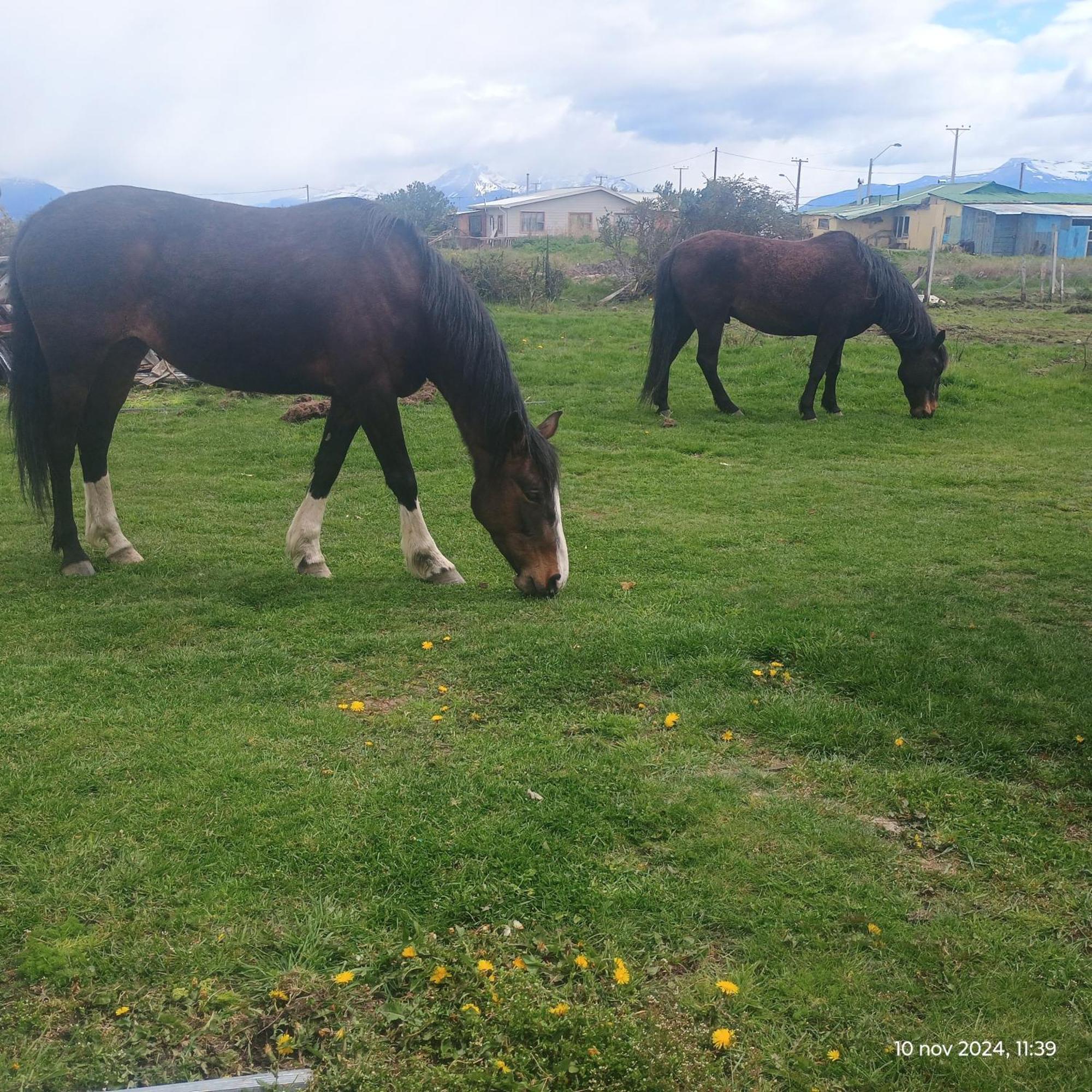 Tyni House Leilighet Puerto Natales Eksteriør bilde